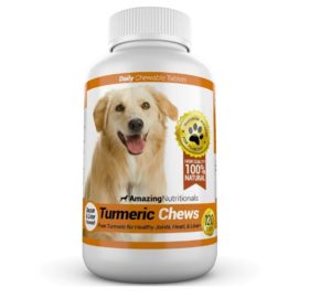 Amazing Turmeric for Dogs Curcumin Pet Antioxidant