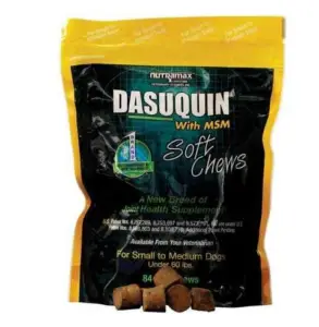 Nutramax Dasuquin with MSM Soft Chews