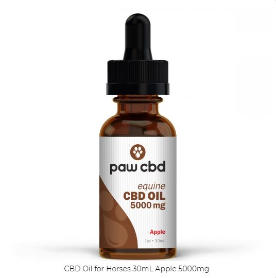 Paw Equine CBD Oil