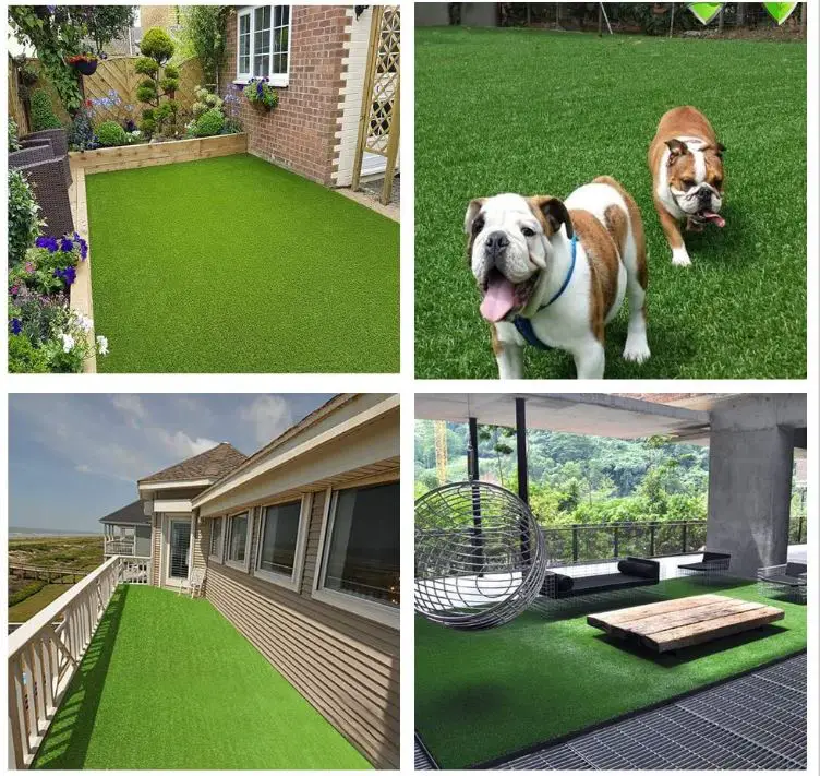 Dogs Artificial Grass